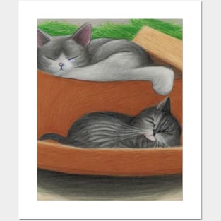 2 cats having a nap Posters and Art